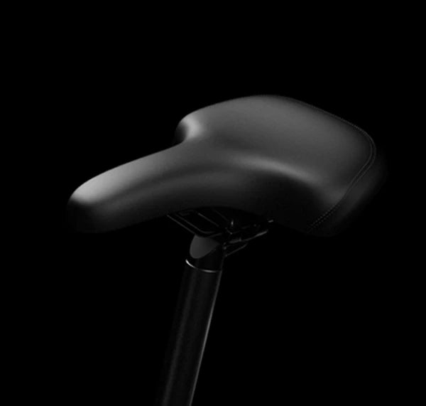 Ergonomic Saddle